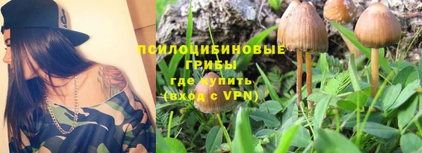 apvp Бугульма