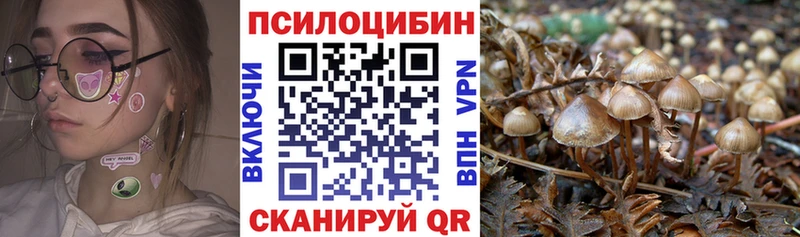 Псилоцибиновые грибы Psilocybine cubensis  мега как зайти  Великий Новгород 
